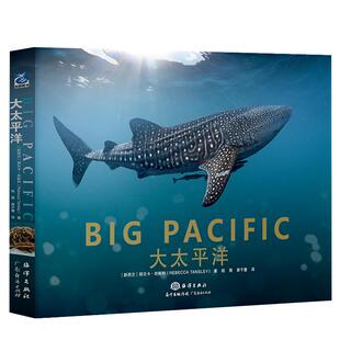 【微瑕】大太平洋 海洋生物大白鲨水母大章鱼海洋世界科普儿童绘本畅销读物优秀科普 海洋生物 海洋百科全书 海洋书籍 海底世界