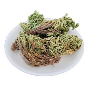 深山石崖卷柏干品九死还魂草野外生长岩柏不死草还阳草无硫中药材