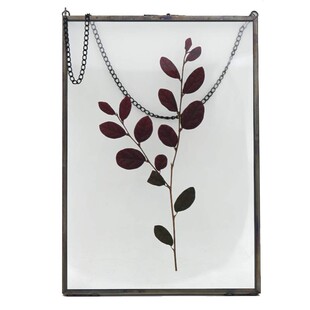 北欧复古透明玻璃相框金属植物标本夹画框简约装饰照片墙宝宝摆台