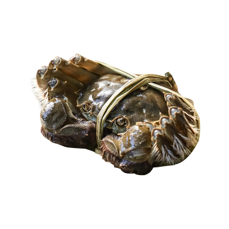 鲜活大闸蟹足斤足两净重不含绳