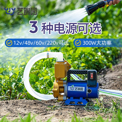 浇菜神器农用浇地灌溉抽水T机12V48V220V大功率家用自动浇水机水