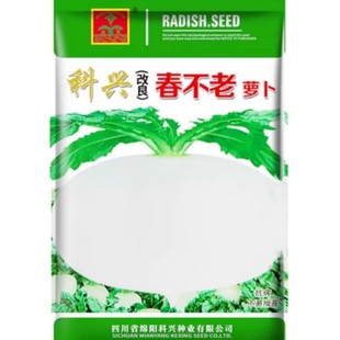 圆白萝卜种子四川春不老萝卜种籽蜂糖大萝卜秋季农家田园蔬菜种孑