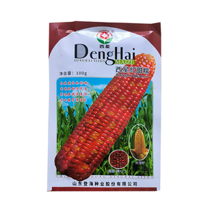 登海西星糯玉米种子合集优质高产抗病彩白红黄黑糯玉米种子合集
