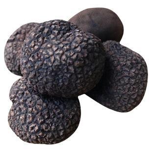 冰鲜野生黑松露 成熟黑色云南特产鲜白松露菌猪拱菌块菌顺丰包邮