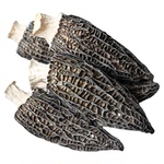 羊肚菌干货云南非特级野生头茬羊肚菌官方旗舰店500g礼盒新鲜菌菇