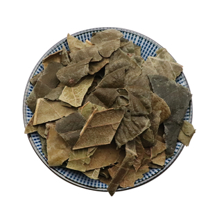 枇杷叶中药材天然包邮枇杷叶新鲜生枇杷叶干可炙枇杷叶无硫500g克