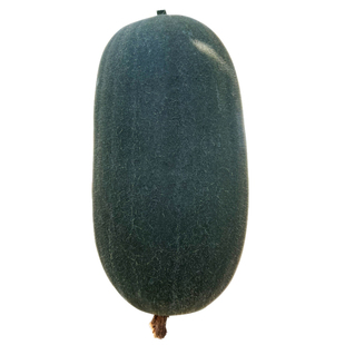 农科院种子墨宝小冬瓜种籽早熟高产广东黑皮东瓜籽种春秋蔬菜种孑