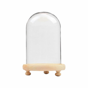 永生花玻璃罩简约现代创意家居装饰品保鲜花防尘罩子创意家居摆件