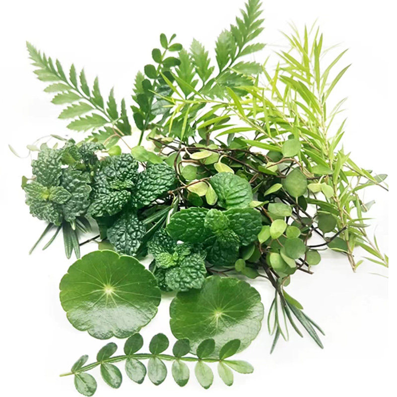 新鲜混合花草 清香木 芒叶薄荷40片 酒店西餐摆盘鲜花草装饰点缀