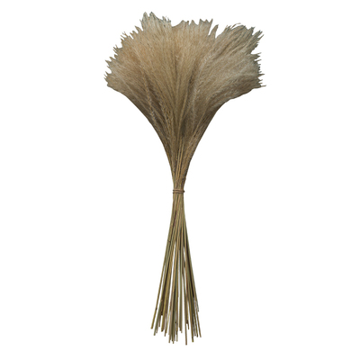 天然野生居民宿婚庆场景布置干花