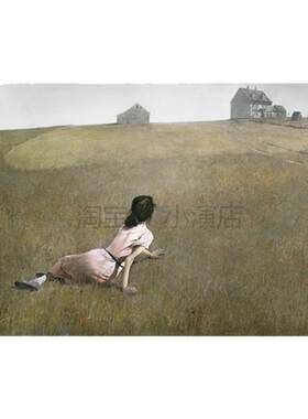 安德鲁怀斯油画 海风窗户 人和地方 装饰画心油画布打印定制画芯