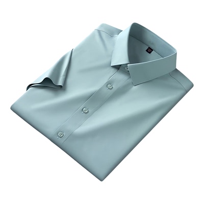 男士薄款短袖衬衫职业夏季