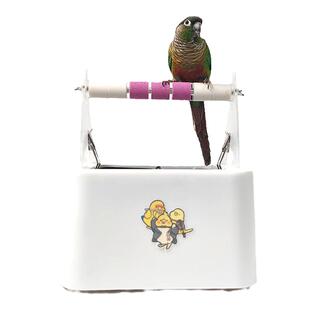 中号拉便便鹦鹉垃圾桶鹦鹉站架厕所垃圾桶鹦鹉定点训练定制