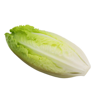 罗马生菜500g新鲜绿色包邮