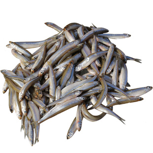 密水农家水库鱼 新鲜迷你小公鱼当日捕捞鲜鱼现杀现发小白条鱼2斤