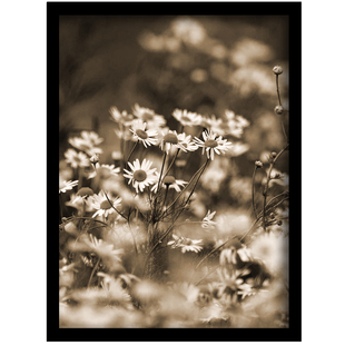 遗像框制作老人照片黑白照打印加相框10寸12寸16寸ps修图遗照北京