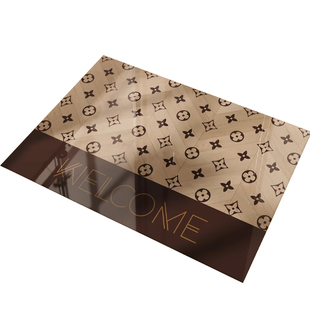 入户门地垫轻奢高级感PVC透明软玻璃防滑脚垫玄关家用大门口进门