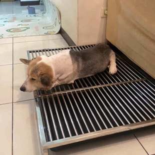 不锈钢狗厕所宠物厕所狗狗尿盆家用室内狗笼狗窝屎盆子带托盘围栏