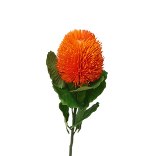 仿真花单枝班克木日系家居客厅装饰品北欧风复古插花摆件塑料假花