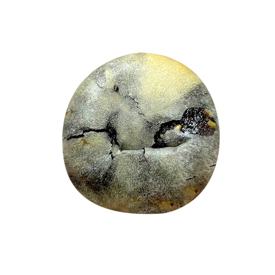 紫米丑饼桑葚紫米饼糕点500g