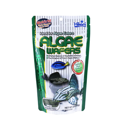 日本高够力底栖鱼素食荤食鱼饲料