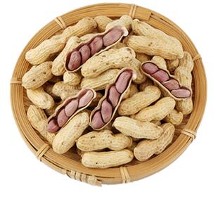 连城红衣花生带壳熟2025年特产正宗袋装四粒红皮龙岩水煮湿烤花生