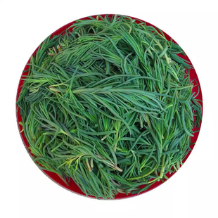 野菜黄须菜黄骅特产野生菜盐碱地碱蓬菜包饺子馅涮肉可凉拌黄须菜