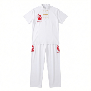 武术T恤太极t恤女太极短袖t恤太极图案t恤短袖夏太极服武术服儿童