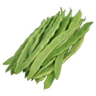绿扁芸豆种籽青架豆高产无筋老来少白不老地豆角四季农家蔬菜种子