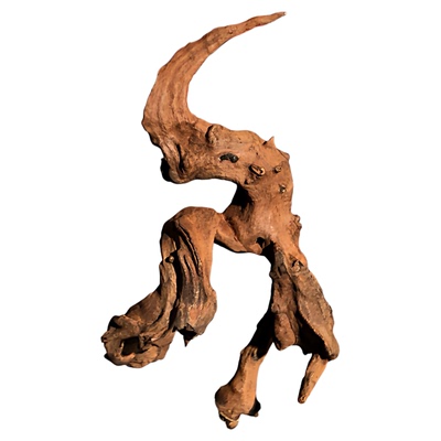 2代小米缸20cm内超小微景观沉木