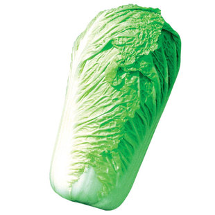 北京新3三号大白菜种子种籽 秋季冬储籽种冬季孑蔬菜子越冬大全