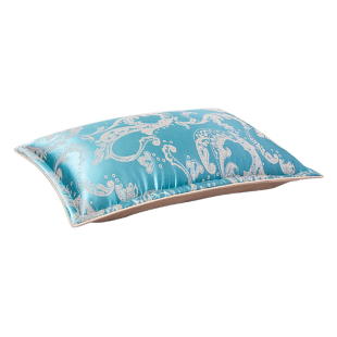 纯决明子枕头全填充儿童成人专用护颈椎助睡眠正品官方旗舰店硬枕