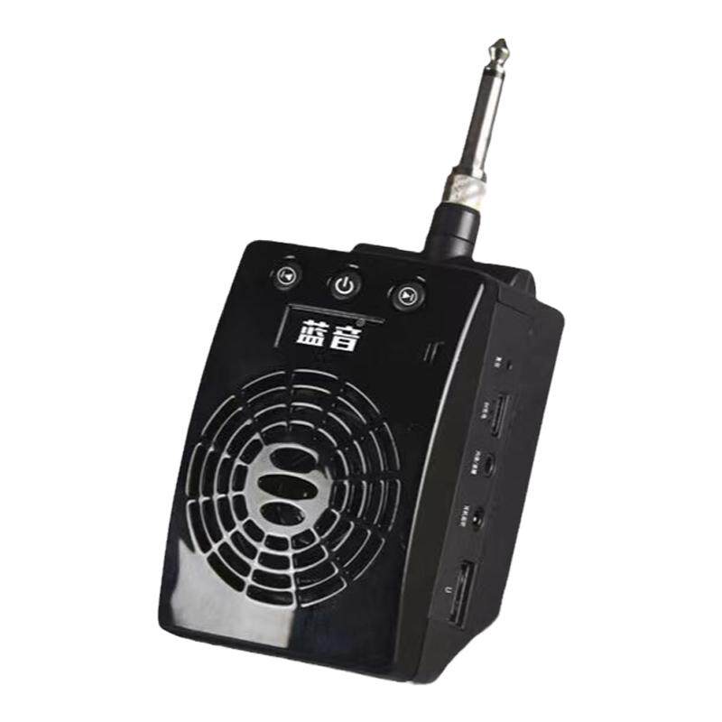 蓝音Q8音箱直插式通用多种乐器