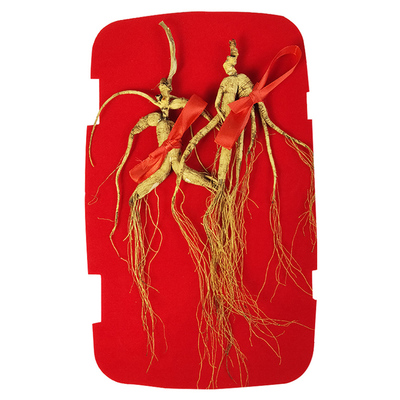 长白山干叁东北籽货礼盒野山参