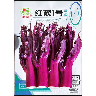 红靓1号10g红菜苔种子孑籽高产粗