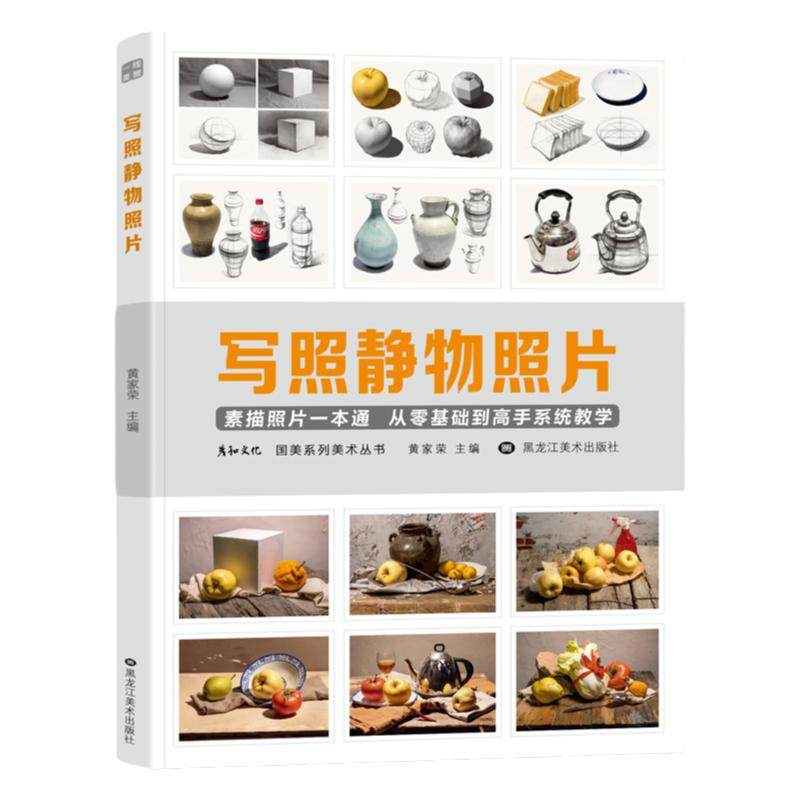 写照素描静物临摹对画构图单体