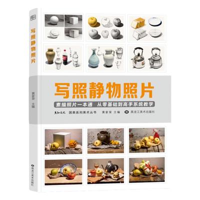 写照素描静物临摹对画构图单体