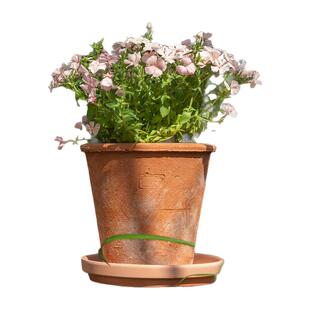 掬涵花盆红陶粗陶土透气耐用陶瓷盆家用托盘多肉户外庭院特价包邮