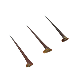 枣刺酸枣刺40个包邮植物 耳钉 耳针山枣针耳棒茶叶棒茶棒茶梗耳洞