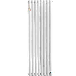 立式暖气片家用钢制装饰大水道水暖集中供暖壁挂式散热器新品现货