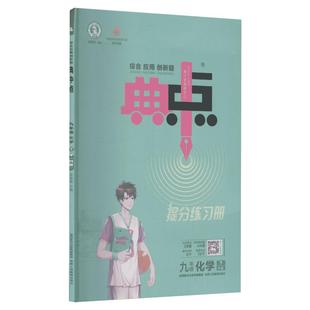 2024春新版典中点化学人教版九年级下册初中9年级教材课本课时同步训练高分练习册初三九下专项训练必刷题课课练中学教辅资料书