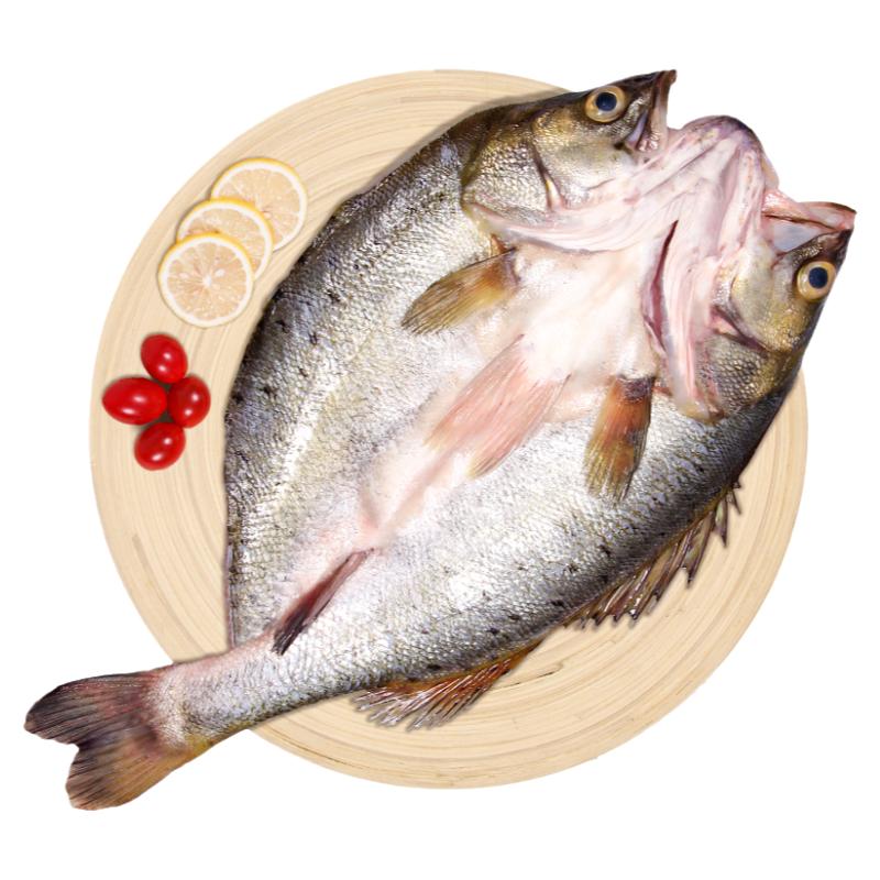 仙泉湖白蕉海鲈鱼三去刺少肉厚