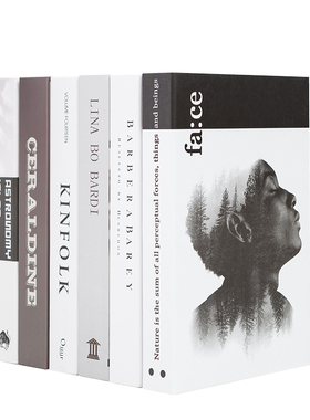 北欧风现代样板间摆设拍摄仿真书