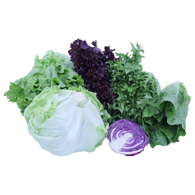 新鲜生菜组合斤装红叶6种沙拉