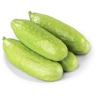 [绿色认证]减脂黄瓜中农脆玉3号新鲜减脂餐顺丰包邮生吃代餐现摘