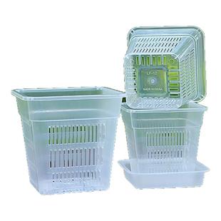 水培定植篮控根方盆兰花塑料盆墨兰花盆透气观根盆种植盆栽固定篮