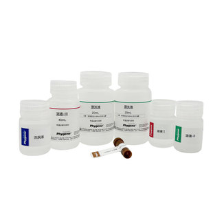 质粒小量提取试剂盒 Plasmid Mini Preparation Kit 100T PHYGENE