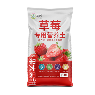 草莓专用营养土阳台草莓苗盆栽养花种植土瓜果养花泥土蔬菜通用土