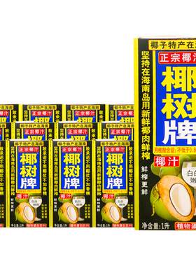 椰树正宗海南特产椰汁1L×12盒