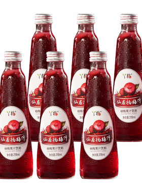 聚仙庄丫梅杨梅汁258ml*6瓶原汁火锅聚会酸梅汤果汁0脂果蔬汁饮料
